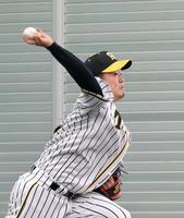 　ブルペンで投球練習する阪神・西純矢