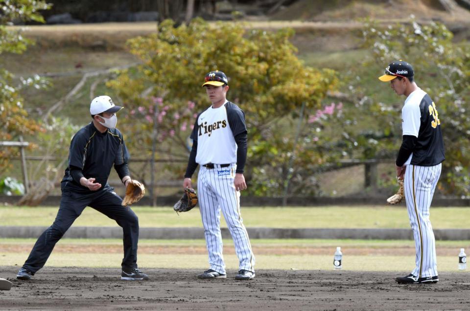 　川相臨時コーチ（左）は中野拓夢と小幡竜平にアドバイスする＝宜野座（撮影・山口登）