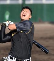 　ロングティーでフルスイングする阪神・佐藤輝明（撮影・田中太一）