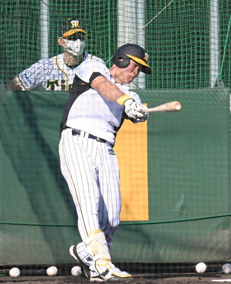 　矢野監督（後方）が見守る中、打撃練習する佐藤輝（撮影・飯室逸平）