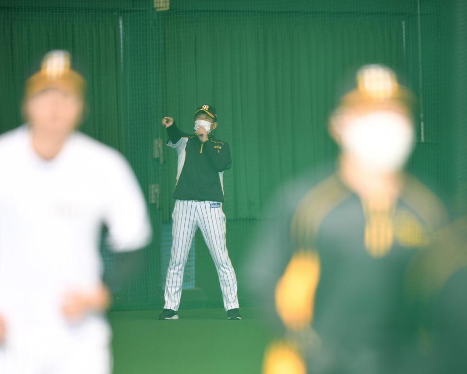 練習を見守る阪神・平田勝男２軍監督