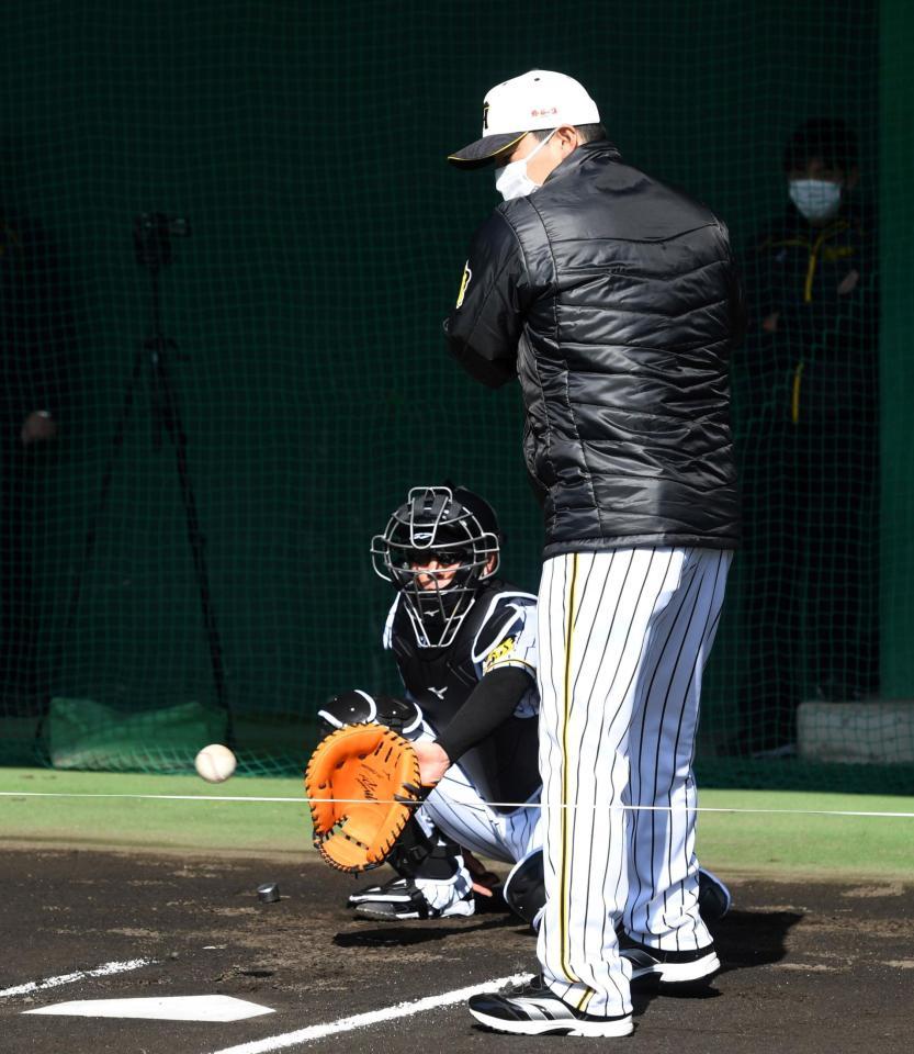 　ブルペンで打席に立ち、阪神・小林慶祐の投げるボールを見る阪神・久保田智之コーチ（撮影・北村雅宏）