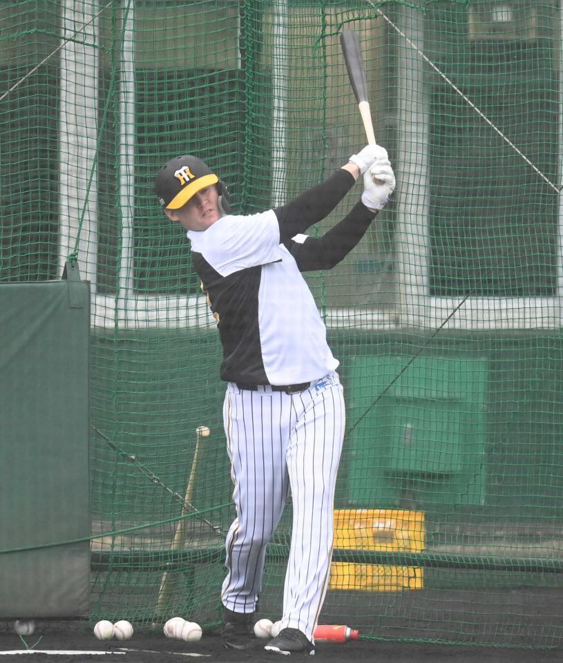 　ランチ特打で快音を響かせるサンズ