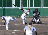 　５回、空振り三振に倒れる佐藤輝（撮影・飯室逸平）