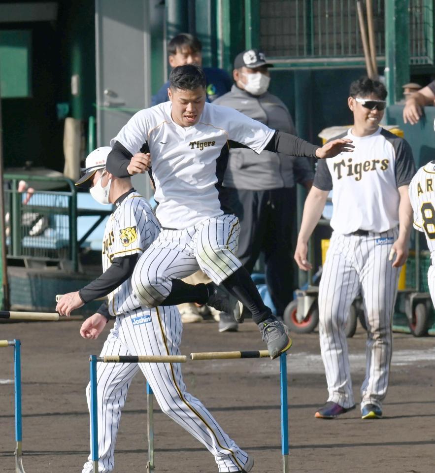 　サーキットトレで躍動する佐藤輝