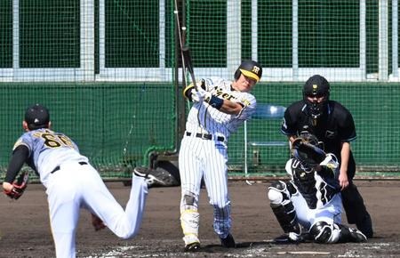 　３回、内野ゴロに倒れる佐藤輝