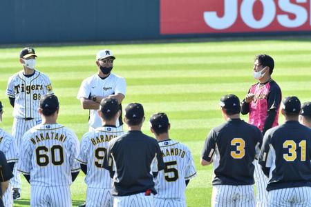 阪神・井上一樹コーチ（奥中央）に促され、声出しをする１日キャプテンの阪神・西純矢（右）＝宜野座（撮影・田中太一）