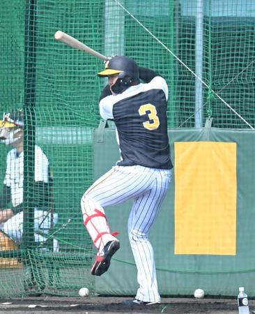 　打撃練習する阪神・大山悠輔（撮影・飯室逸平）