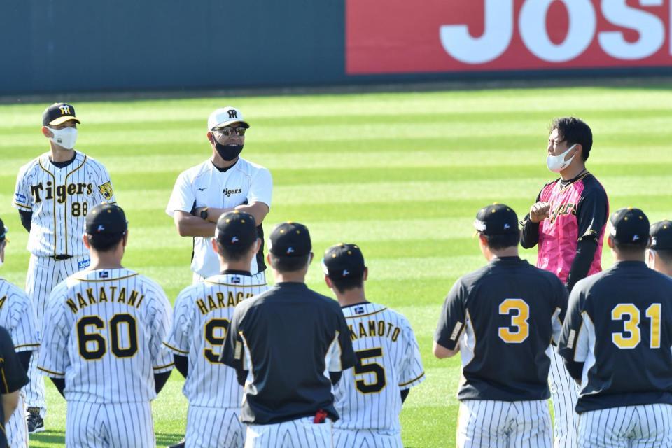 阪神・井上一樹コーチ（奥中央）に促され、声出しをする１日キャプテンの阪神・西純矢（右）＝宜野座（撮影・田中太一）