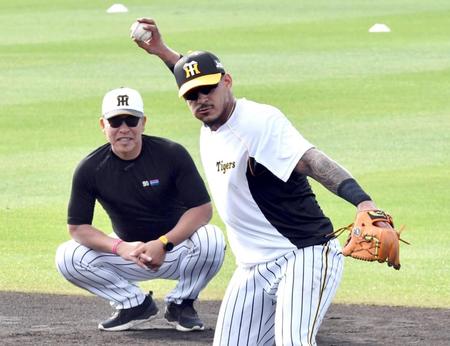 早出特守でノックを受ける阪神・マルテ。奥は井上一樹コーチ（撮影・田中太一）