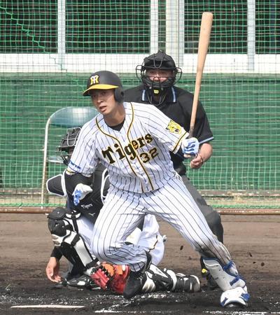 ２回、タイムリーを放つ阪神・井上広大＝宜野座（撮影・飯室逸平）