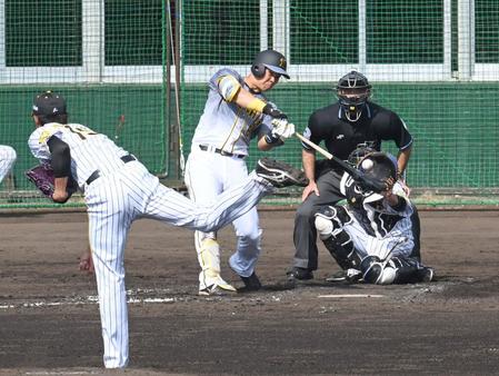 ４回、阪神・藤浪晋太郎の前に空振り三振に倒れる阪神・佐藤輝明＝宜野座（撮影・飯室逸平）