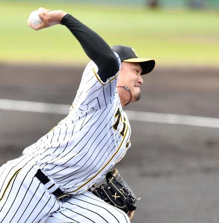 ２回を無失点に抑える阪神・秋山拓巳（撮影・田中太一）