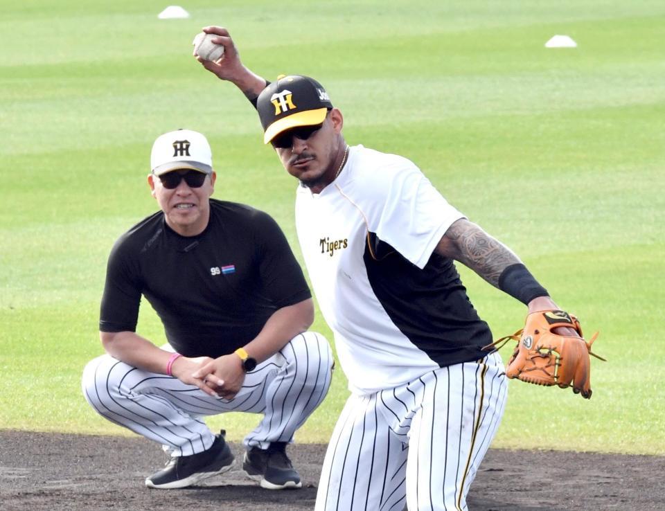 早出特守でノックを受ける阪神・マルテ。奥は井上一樹コーチ（撮影・田中太一）