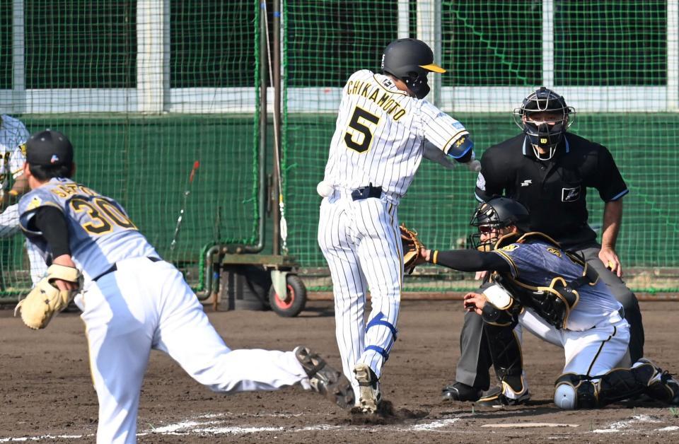 ７回、阪神・佐藤蓮から死球を受ける阪神・近本光司＝宜野座（撮影・飯室逸平）