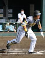 　６回、右前打を放つ佐藤輝