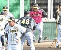 笑顔でジャンプする阪神・井上広大＝宜野座（撮影・飯室逸平）