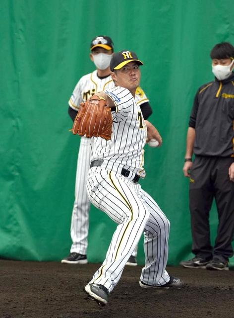 阪神・チェンが３度目のブルペン入りで順調７７球　矢野監督「１５勝頼むで」