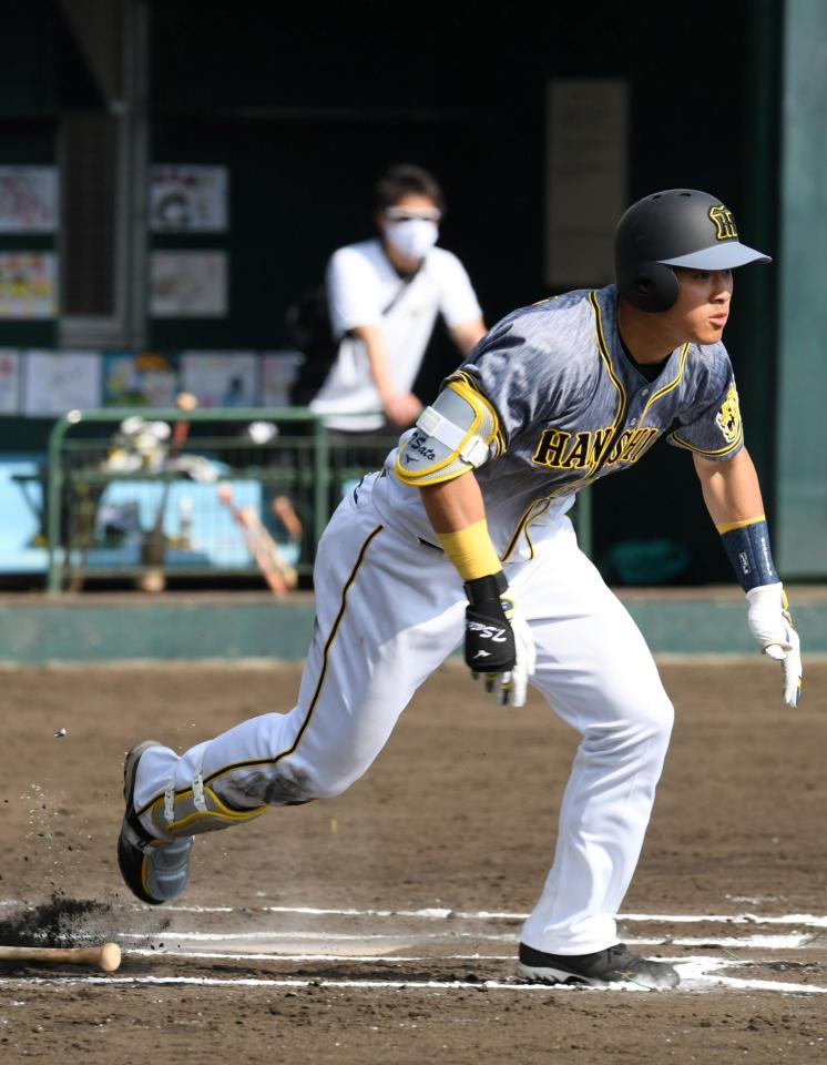 　６回、右前打を放つ佐藤輝