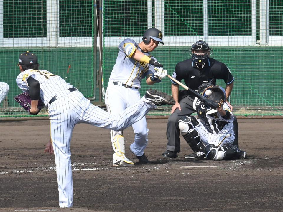 　４回、藤浪の前に空振り三振に倒れる佐藤輝