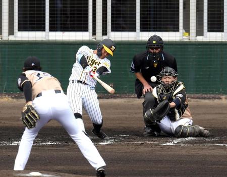 １回阪神２死一・二塁、阪神・糸原健斗は中前に同点適時打を放つ宜野座（撮影・山口登）