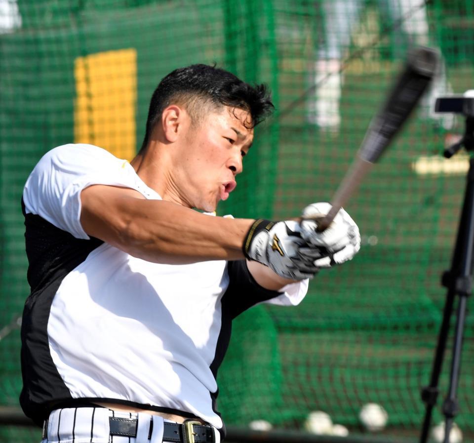 鋭いスイングで打球を飛ばす阪神・佐藤輝明＝宜野座（撮影・田中太一）