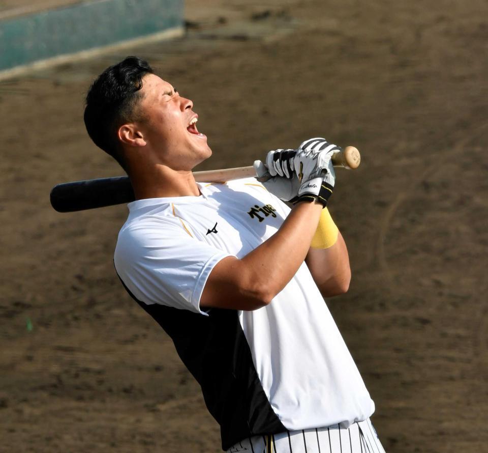 阪神 ４番大山 ２番にドラ１ 佐藤輝 日本ハム戦先発予定メンバー 阪神タイガース デイリースポーツ Online