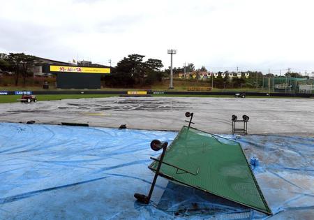 名護で予定されていた練習試合が中止になり、宜野座球場のグラウンドはシートが敷かれる（撮影・山口登）