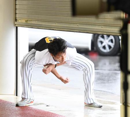 雨と強風のため、終日ドーム内での練習。しかしやはり外で体を動かしたくなるのか、藤浪はわずかに開いたシャッターから体をかがめて外へ。雨、風は大丈夫ですか？（撮影・田中太一）