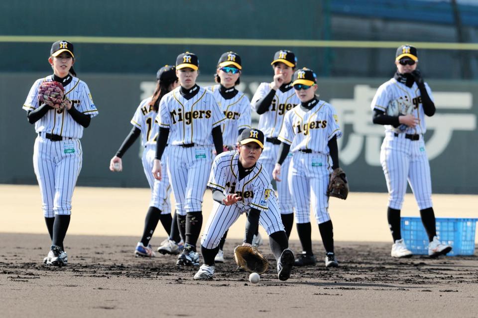 ノックを受ける石村＝鳴尾浜（阪神タイガースＷｏｍａｎ提供）