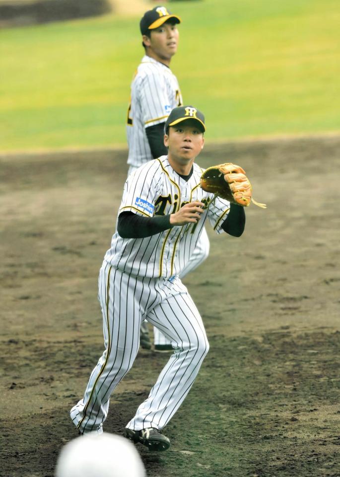 ノックの打球をさばく阪神・村上＝安芸市営球場（撮影・神子素慎一）