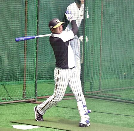 　広島戦へ向け室内で打撃練習する井上（撮影・高石航平）