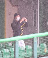 　先発予定の阪神・青柳晃洋は豪雨のグラウンドを写真に収める＝コザしんきんスタジアム（撮影・山口登）