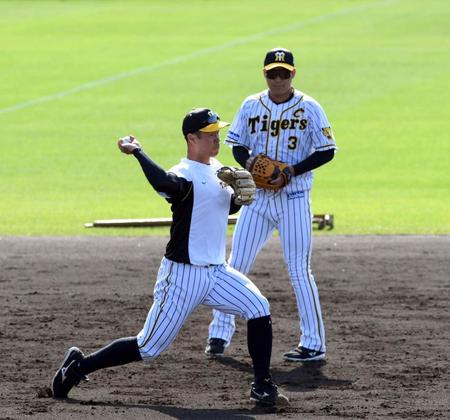 試合前、ノックを受ける阪神・佐藤輝明（右は阪神・大山悠輔）＝宜野座（撮影・山口登）