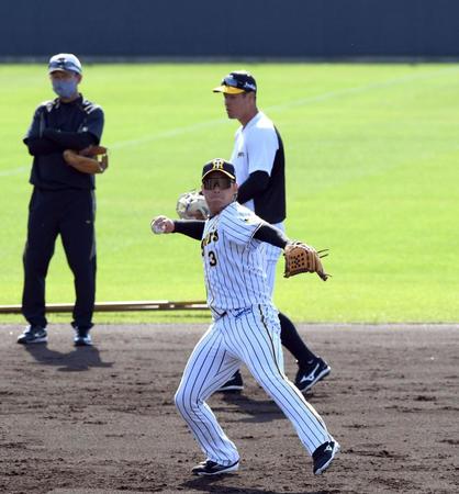 ノックを受ける阪神・大山悠輔（後方は阪神・佐藤輝明）＝宜野座（撮影・山口登）