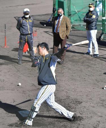 　（奥左から）和田ＴＡ、掛布ＨＬＴ、平田２軍監督の前で、打撃練習する江越