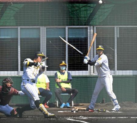 　１回、佐藤輝はバットを折りながら大飛球のファウルを放つ。右は井上