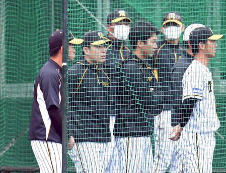 別メニューの調整となった高橋遥（左端）はケース打撃を見学する（撮影・山口登）
