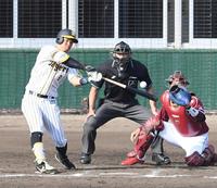 　８回、左前打を放つ佐藤輝