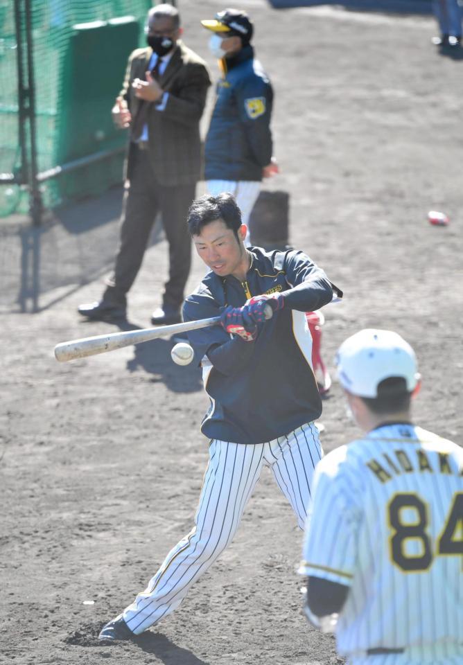 　打撃練習で汗を流す江越