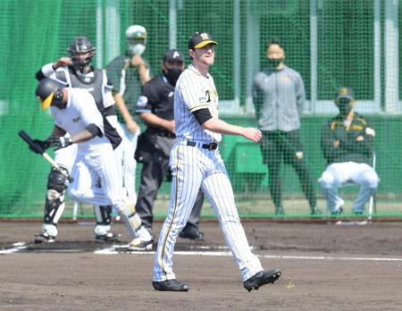 シート打撃で阪神・マルテをうち取り笑顔のガンケル＝宜野座（撮影・金田祐二）