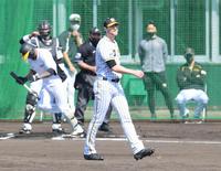 シート打撃で阪神・マルテをうち取り笑顔のガンケル＝宜野座（撮影・金田祐二）