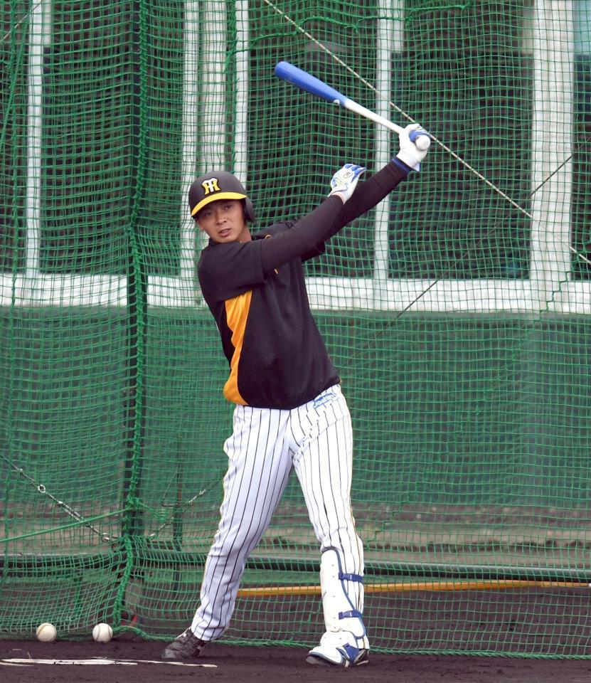 　打撃練習する井上＝１７日