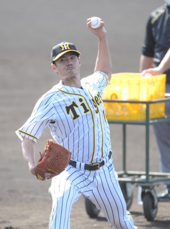 打撃投手を務める阪神・チェン＝宜野座（撮影・金田祐二）