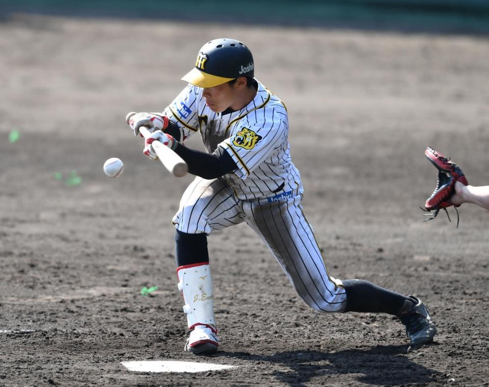 ３回裏阪神無死一塁、遠藤成は捕前に送りバントを決める＝安芸（撮影・佐々木彰尚）