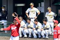 　広島のシートノックを見つめる佐藤輝（左奥）らナイン（撮影・田中太一）