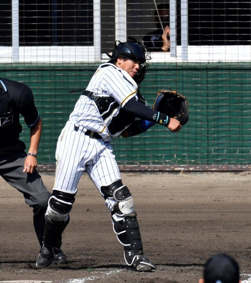 　広島との練習試合でけん制球を投げアウトにする梅野＝２１日