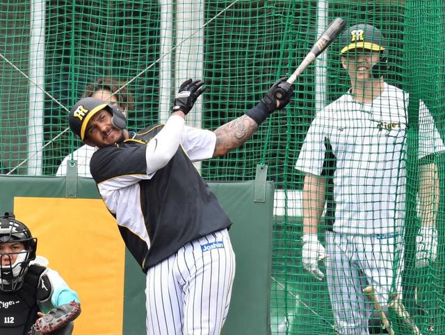 阪神・マルテ「５番・一塁」で今季初実戦「好きな野球がやっとできる」
