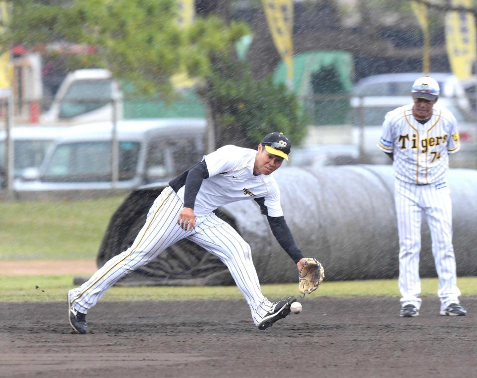 　雨の中、ノックを受ける佐藤輝（撮影・金田祐二）