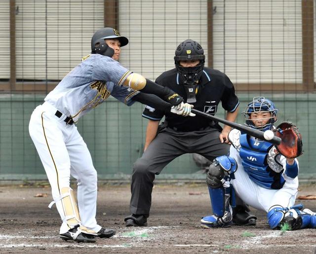 阪神・高山６度目マルチ安打！実戦打率・４６７　猛アピールで開幕スタメン争い激化！